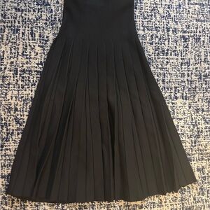 Aleeza paris Black Pleated Skirt